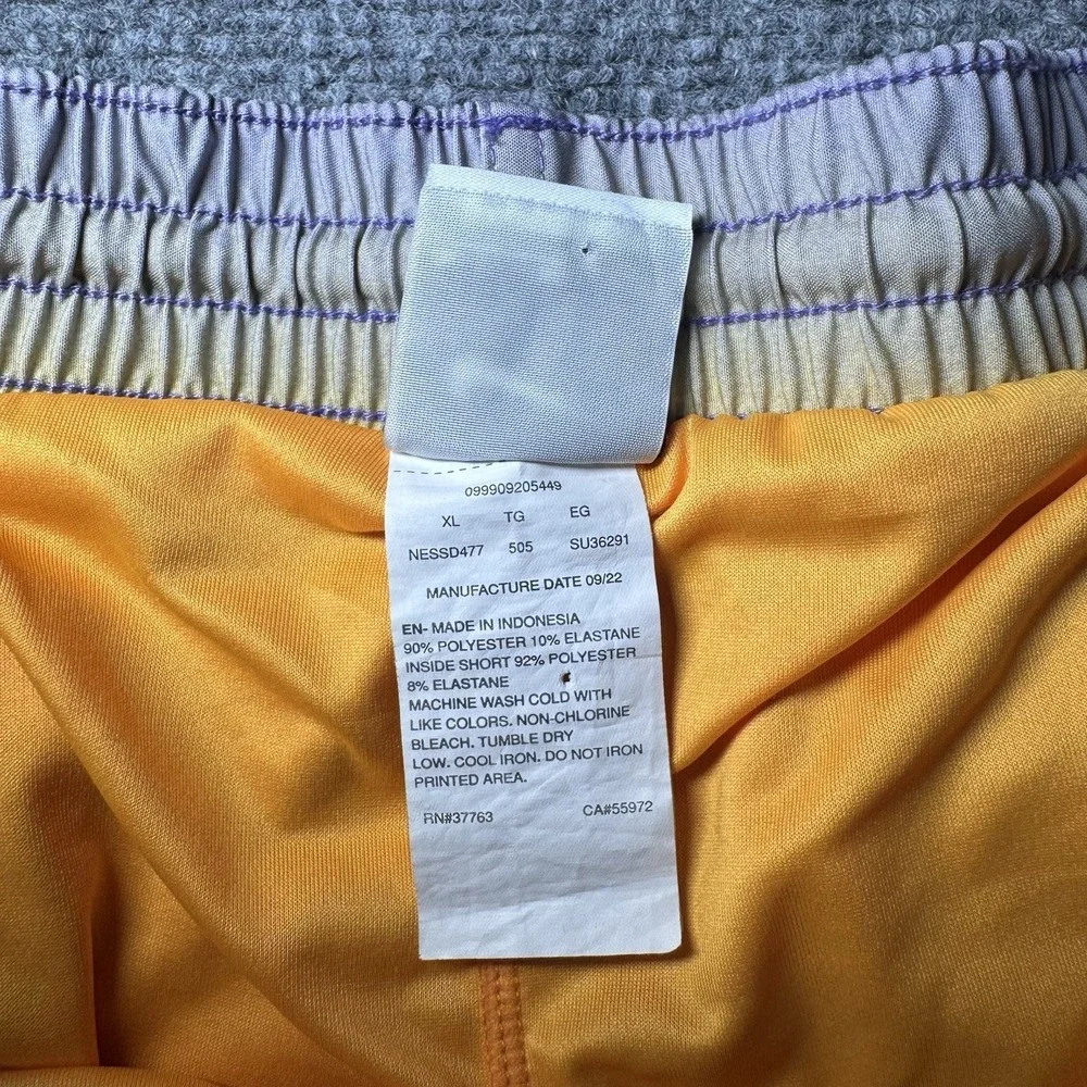 Nike Swim Athletic Shorts Horizon Stripe Purple Yellow Men Size XL Lined 717384